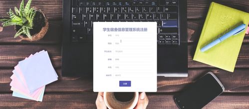 基于SSM與Vue的學(xué)生宿舍信息管理系統(tǒng)設(shè)計與實現(xiàn)